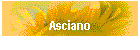 Asciano