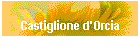 Castiglione d'Orcia