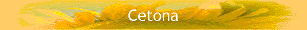 Cetona