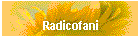 Radicofani