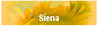 Siena