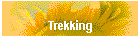 Trekking